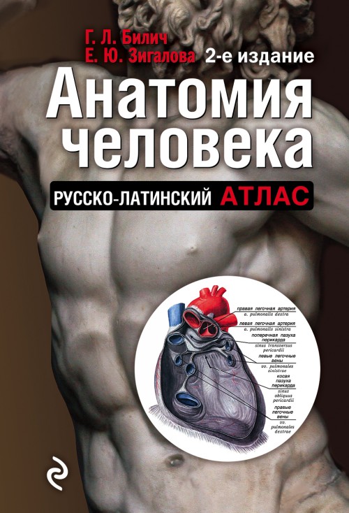 Книга Анатомия человека: Русско-латинский атлас. 2-е издание Г. Билич