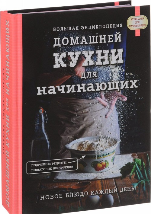 Książka Большая энциклопедия домашней кухни для начинающих 
