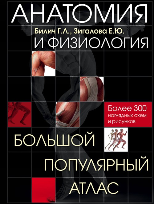 Könyv Анатомия и физиология. Большой популярный атлас Е. Зигалова