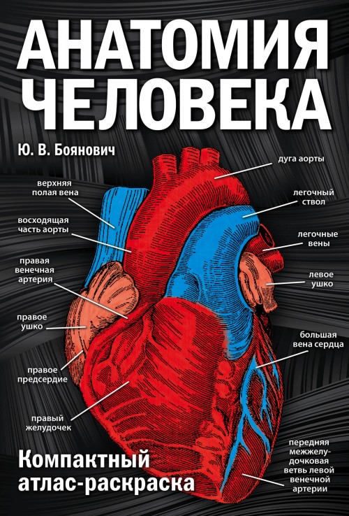 Книга Анатомия человека: компактный атлас-раскраска 