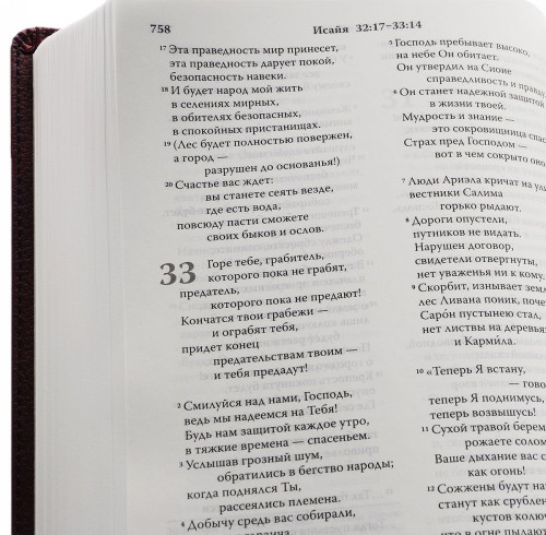 Carte Библия. Современный русский перевод (Сине-коричневый переплет, гибкая экокожа) 