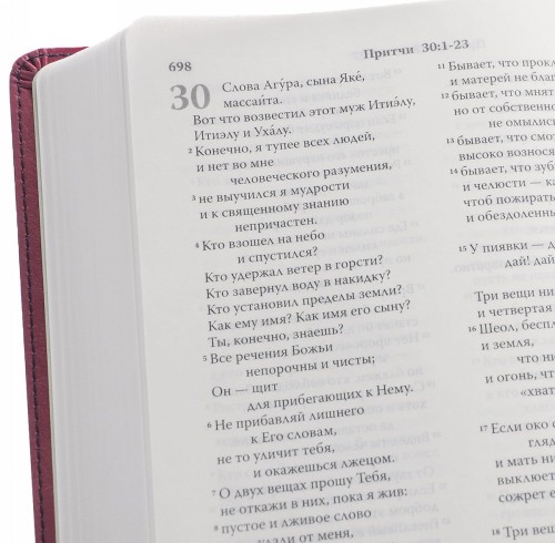 Kniha Библия. Современный русский перевод (Сине-розовый переплет, гибкая экокожа) 