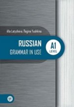 Könyv RUSSIAN Grammar in Use Алла Латышева