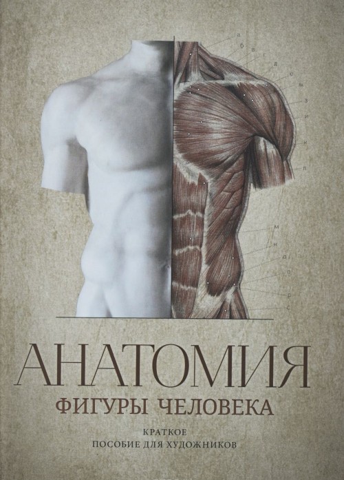 Carte Анатомия фигуры человека / Anatomy Human Figure Guide for Artists in Russian language В.А. Могилевцев