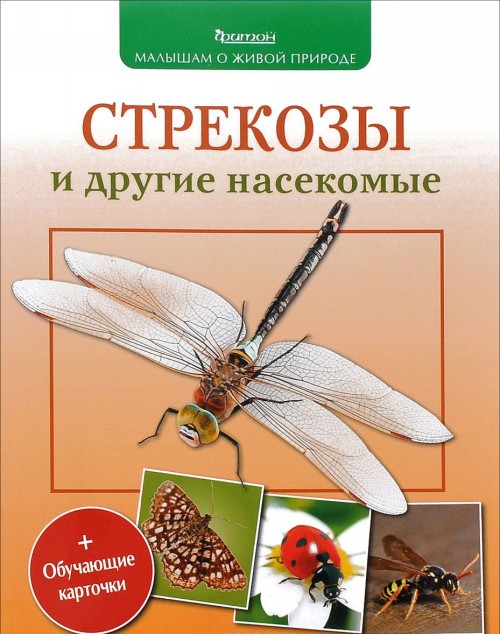 Carte Стрекозы и другие насекомые П. Волцит