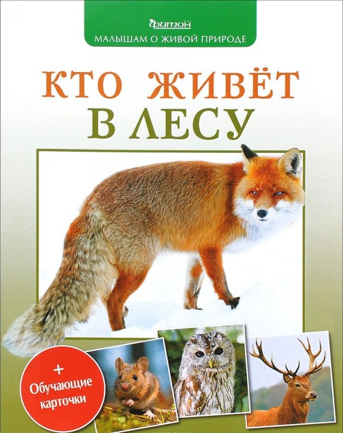 Kniha Кто живет в лесу П. Волцит