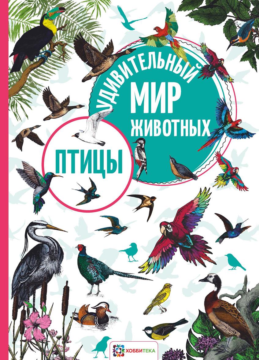 Libro Птицы 