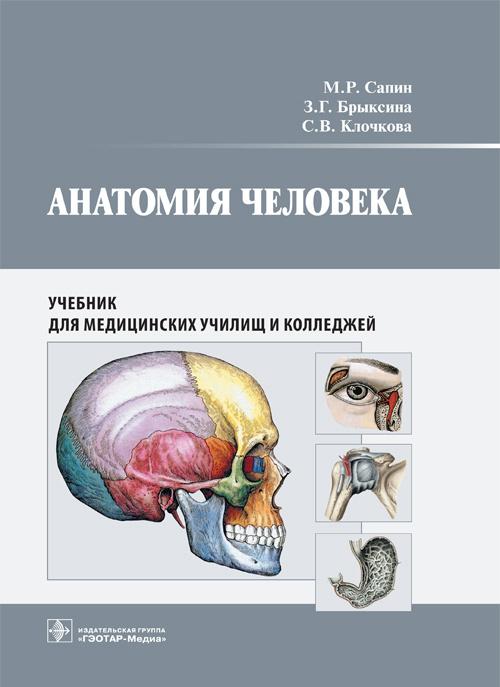 Könyv Анатомия человека. Учебник для медицинских училищ и колледжей З.Г. Брыксина