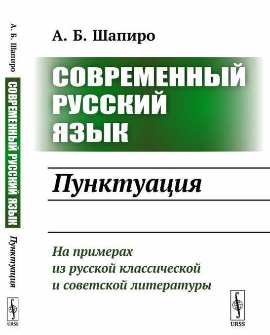 Kniha Современный русский язык. Пунктуация 