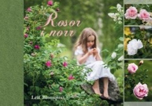 Kniha Rosor i norr Leif Blomqvist