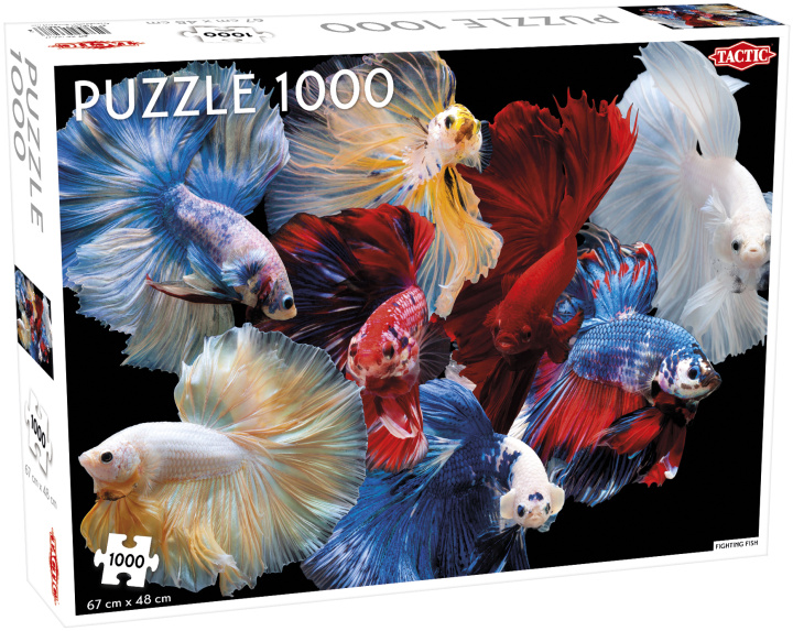 Könyv Puzzle Bannerfish 1000 