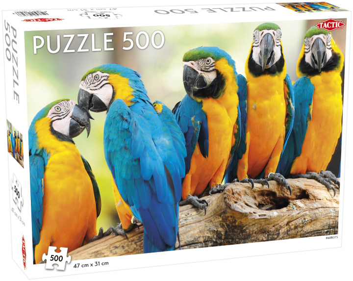 Kniha Puzzle Parrots 500 