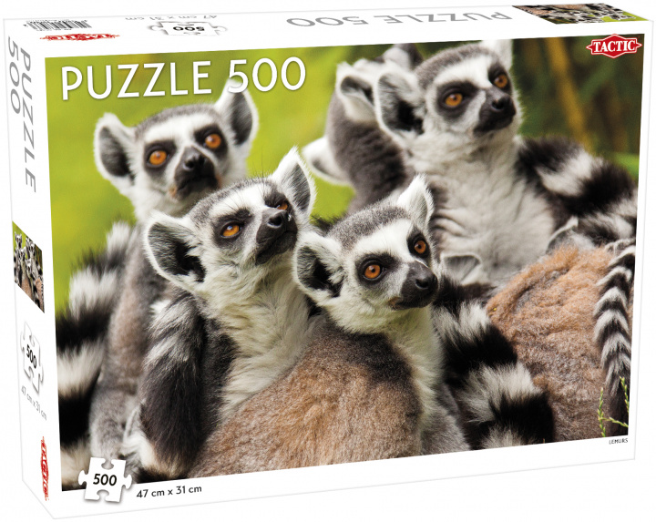 Kniha Puzzle Lemurs 500 