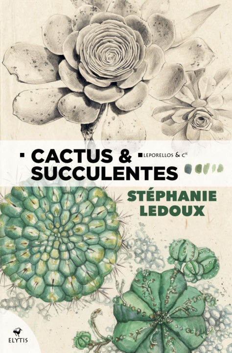 Kniha Cactus & succulentes 