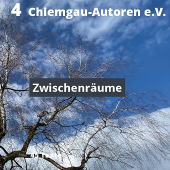 Knjiga Zwischenraume Chiemgau-Autoren E. V. Traunstein