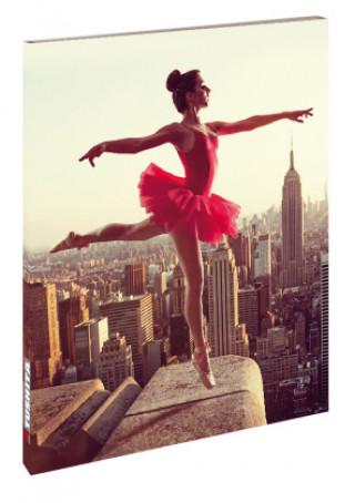 Kniha NY Ballett 