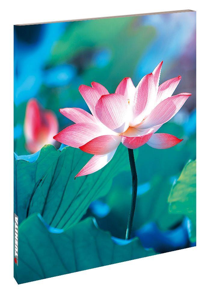 Книга Pure Lotus 