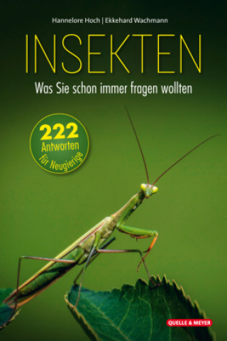 Könyv Insekten - Was Sie schon immer fragen wollten Ekkehard Wachmann