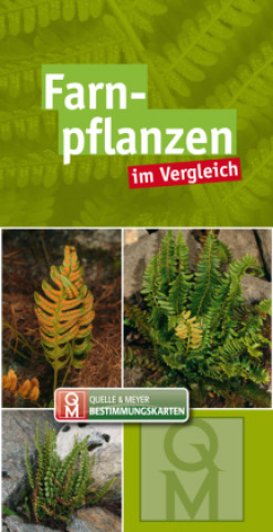 Knjiga Farnpflanzen Quelle & Meyer Verlag