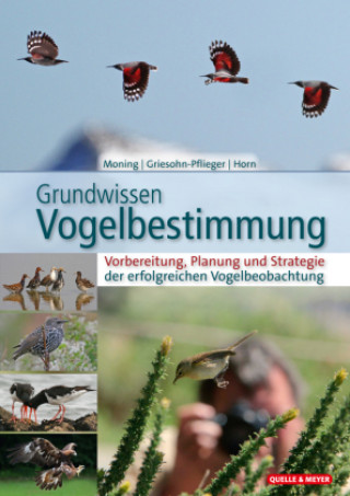 Carte Grundwissen Vogelbestimmung Thomas Griesohn-Pflieger