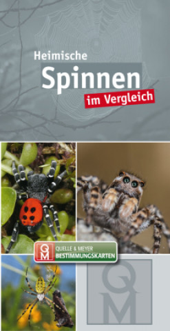 Kniha Heimische Spinnen 