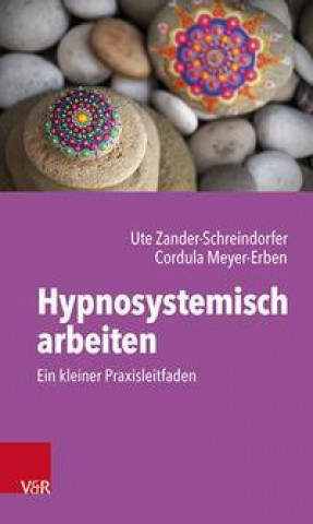 Kniha Hypnosystemisch arbeiten Cordula Meyer-Erben