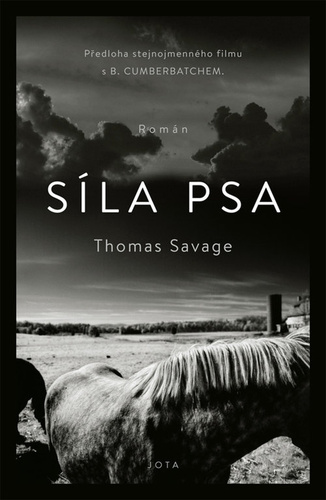 Kniha Síla psa Thomas Savage