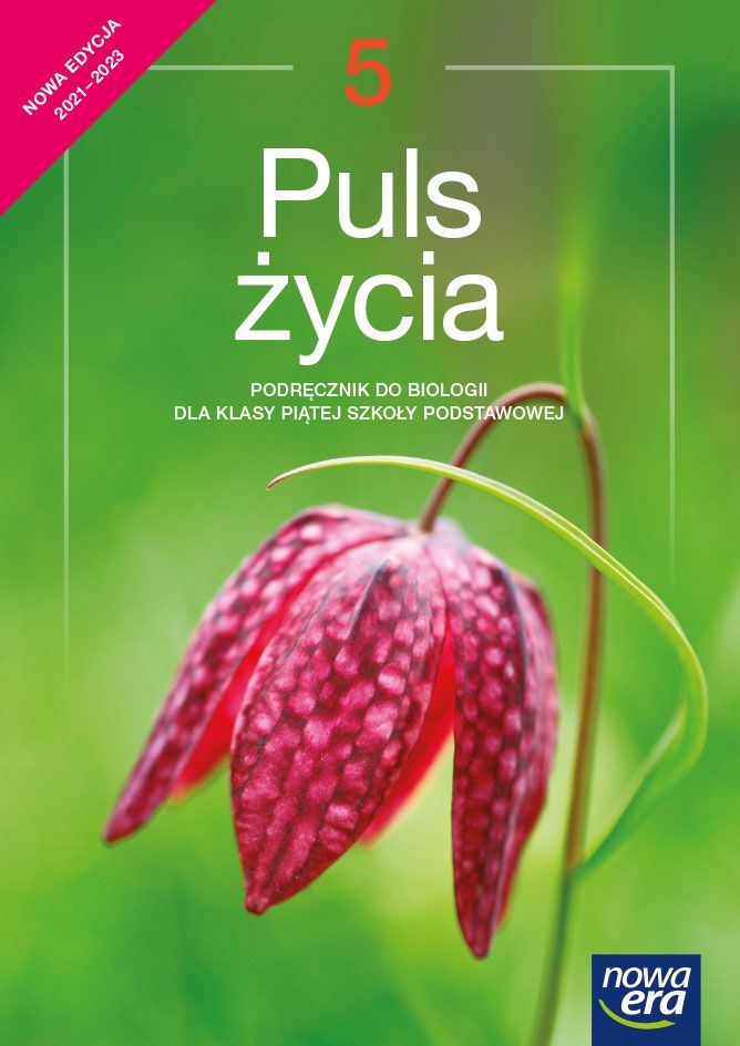 Книга Biologia Puls życia podręcznik dla klasy 5 szkoły podstawowej EDYCJA 2021-2023 Marian Sęktas