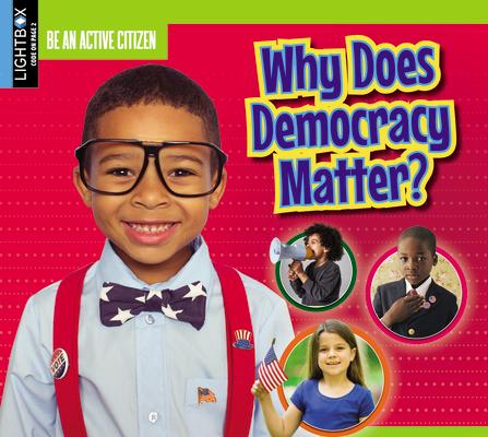 Knjiga Why Does Democracy Matter? 