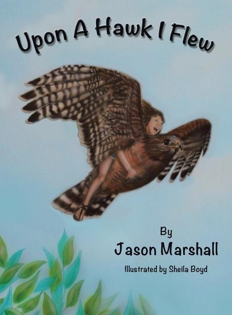 Knjiga Upon a Hawk I Flew Sheila Boyd