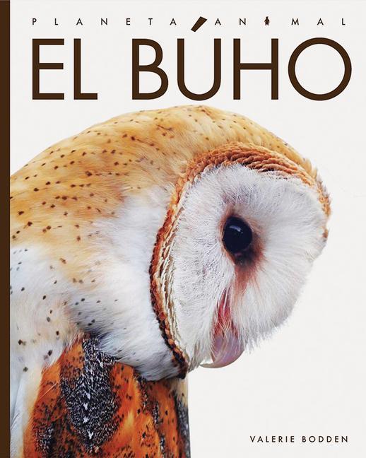Boek El Búho Bodden