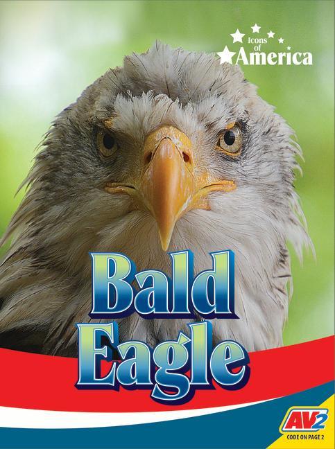 Knjiga Bald Eagle Heather Kissock