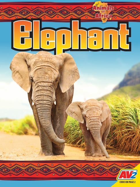 Knjiga Elephant Katie Gillespie
