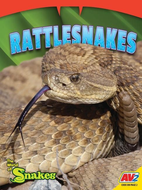 Book Rattlesnakes Jessica Coupé