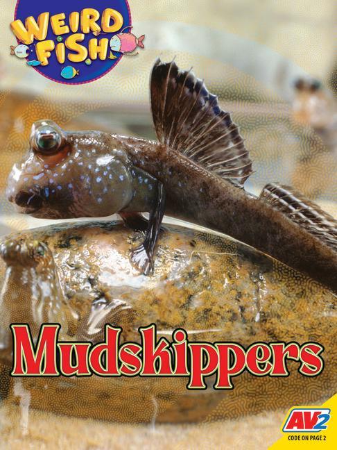 Book Mudskippers Becky Noelle
