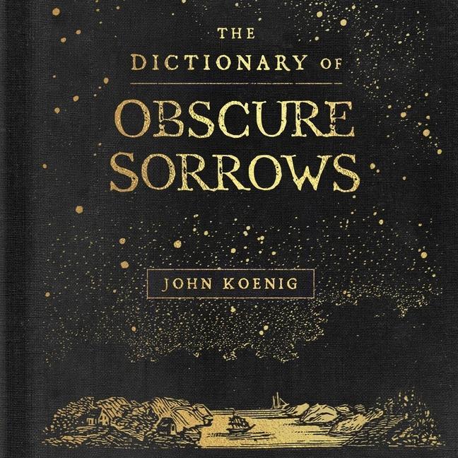 Audio The Dictionary of Obscure Sorrows 