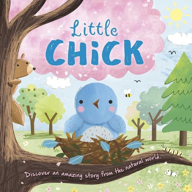 Könyv Nature Stories: Little Chick: Padded Board Book 