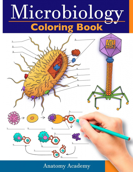 Kniha Microbiology Coloring Book 