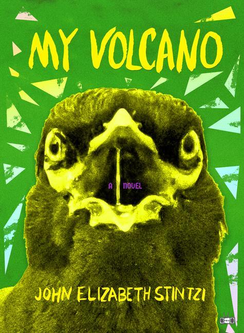 Книга My Volcano Stintzi
