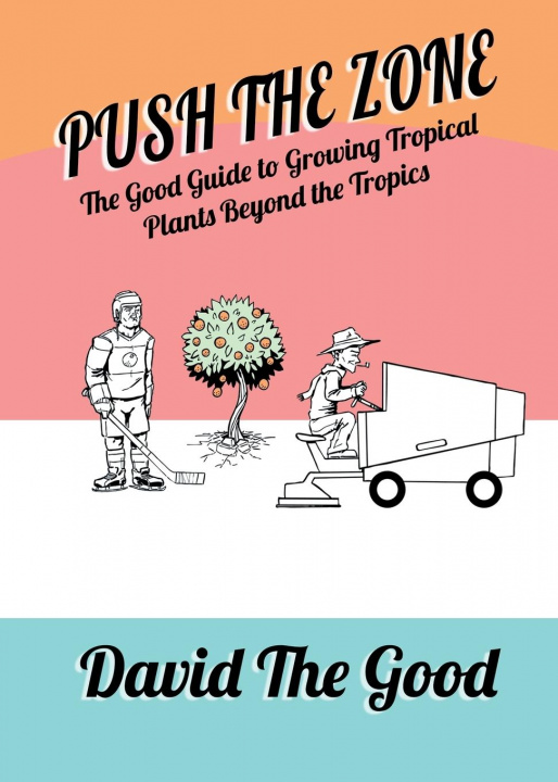 Book Push the Zone David The Good