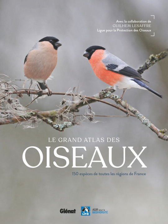 Kniha Le grand Atlas des oiseaux 