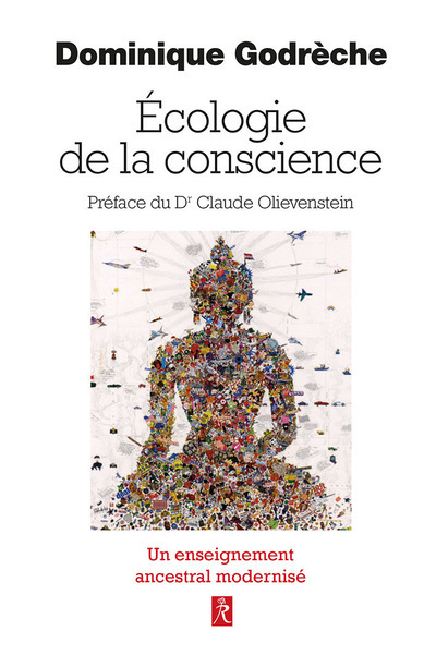 Buch Une écologie de la conscience Dominique Godreche