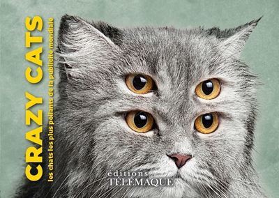 Boek Crazy cats Joe La Pompe