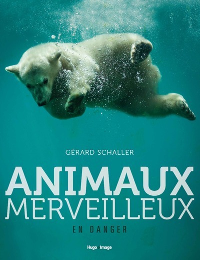 Carte Animaux merveilleux en danger Gérard Schaller