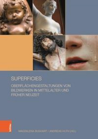 Knjiga Superficies Andreas Huth