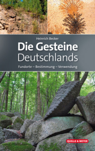 Buch Die Gesteine Deutschlands Heinrich Becker