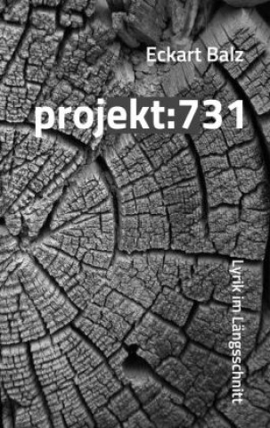 Könyv projekt: 731 