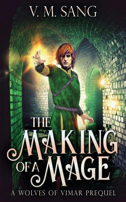 Βιβλίο Making Of A Mage V. M. Sang