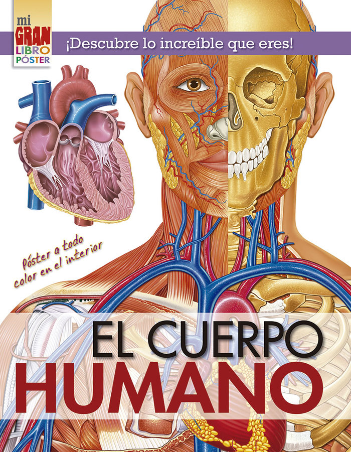 Kniha Mi Gran Libro Poster: Cuerpo Humano 