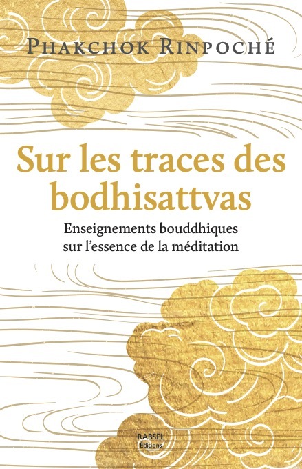 Kniha Sur les traces des bodhisattvas Phakchok Rinpoché